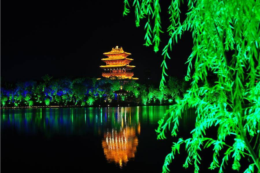 浦江金狮湖夜景图片